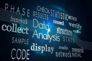 博拉網絡獲上交所問詢 大數據服務提供商的前路與挑戰